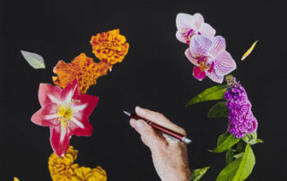 Autorinnenkreis Linz